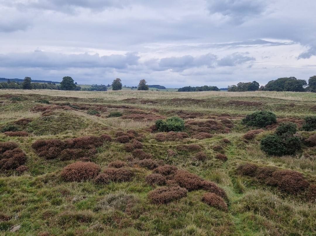 Ardoch Roman Fort-Braco必去景点
