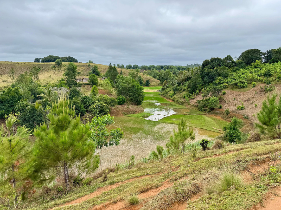 Parc National de l'Andringitra-Ambalavao必去景点