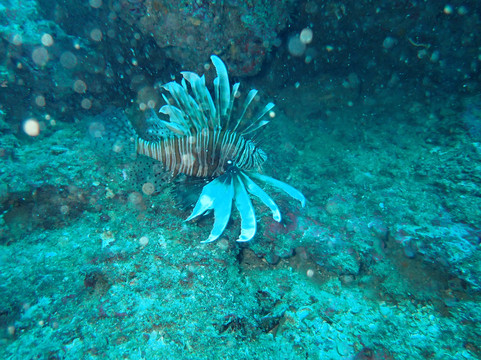 FunDive-Platanias必去景点