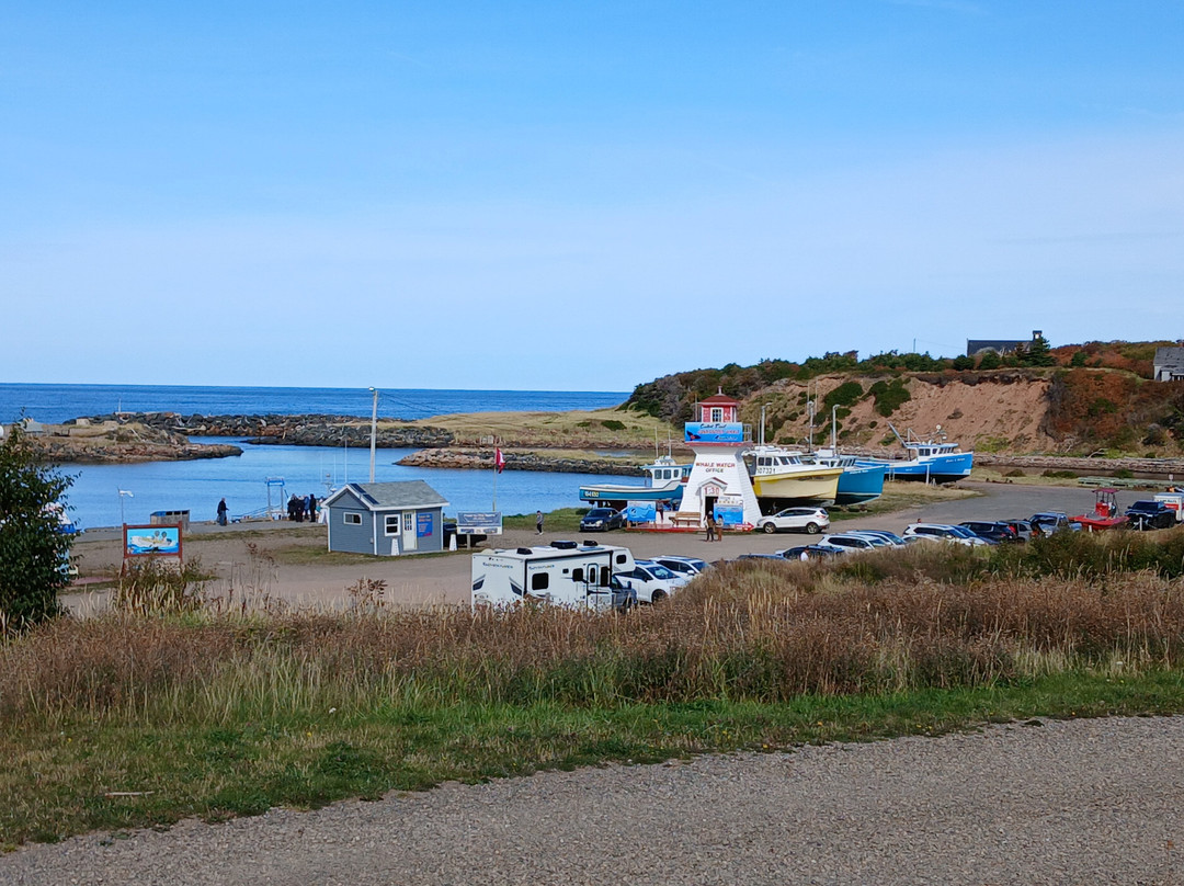 Cabot Trail Guaranteed Whales Adventures-Pleasant Bay必去景点