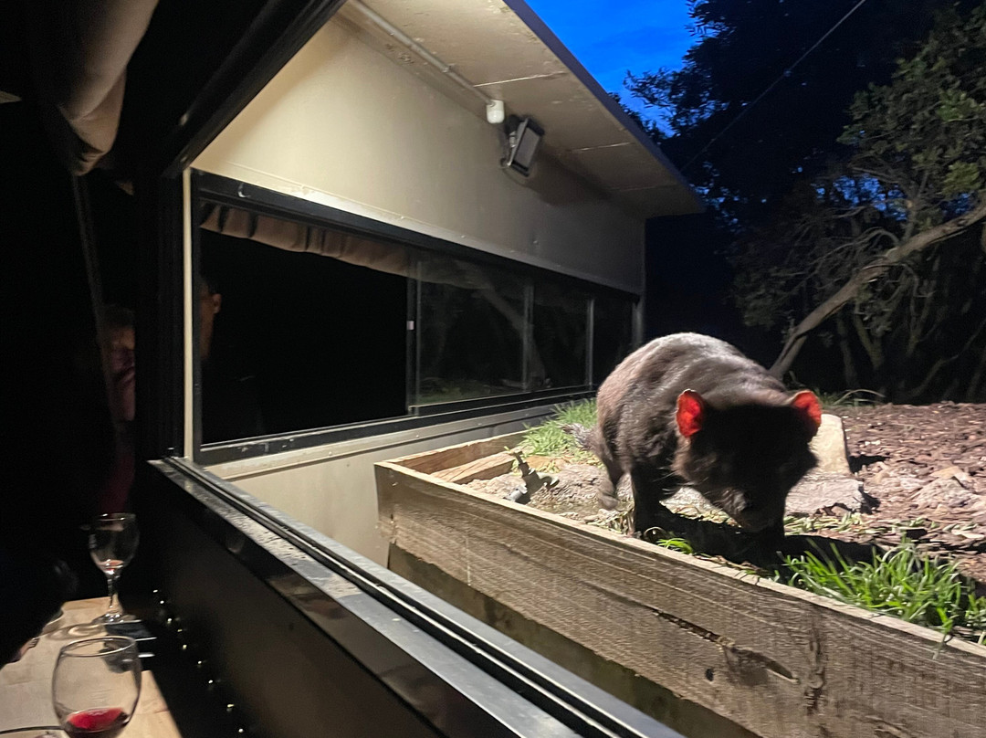 夜间魔鬼观赏-比奇诺必去景点