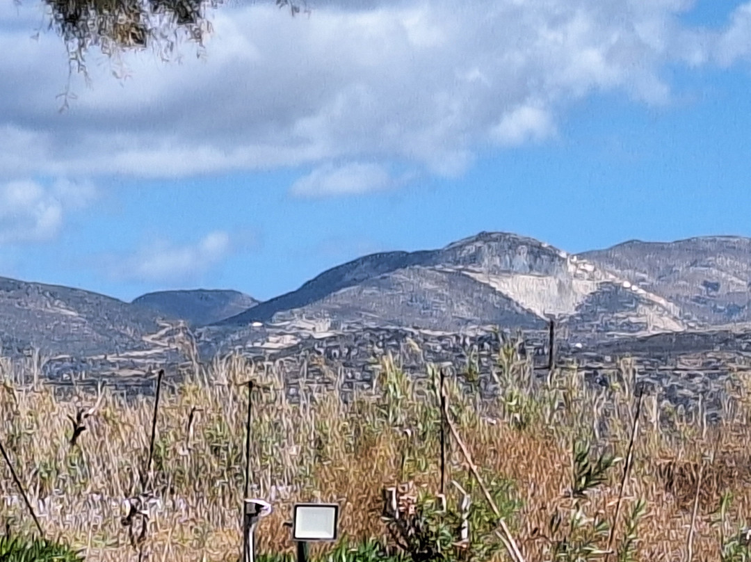 Naxos Cultural Tours-纳克索斯岛必去景点