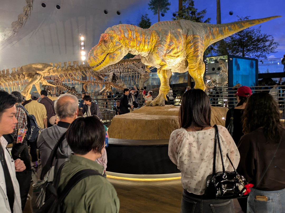 Fukui Prefectural Dinosaur Museum-胜山市必去景点
