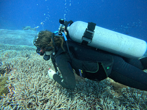 蓝角潜水-蓝梦岛必去景点