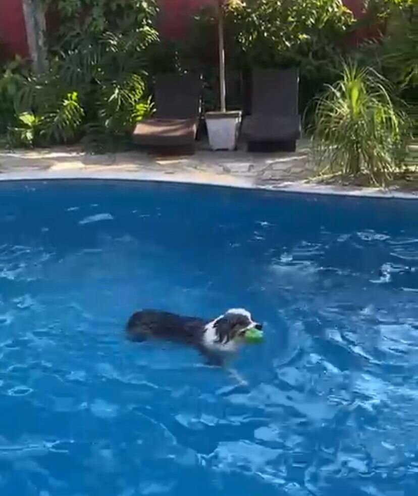 Smart Hotel Reserva Camburi-泳池