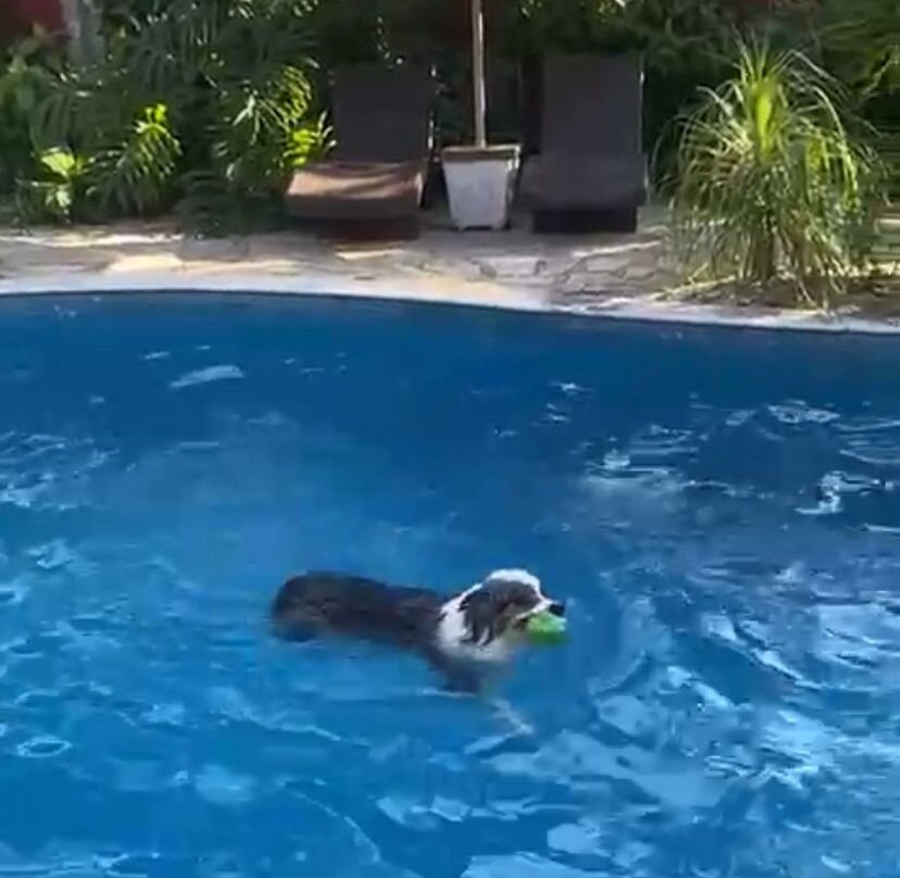 Smart Hotel Reserva Camburi主图