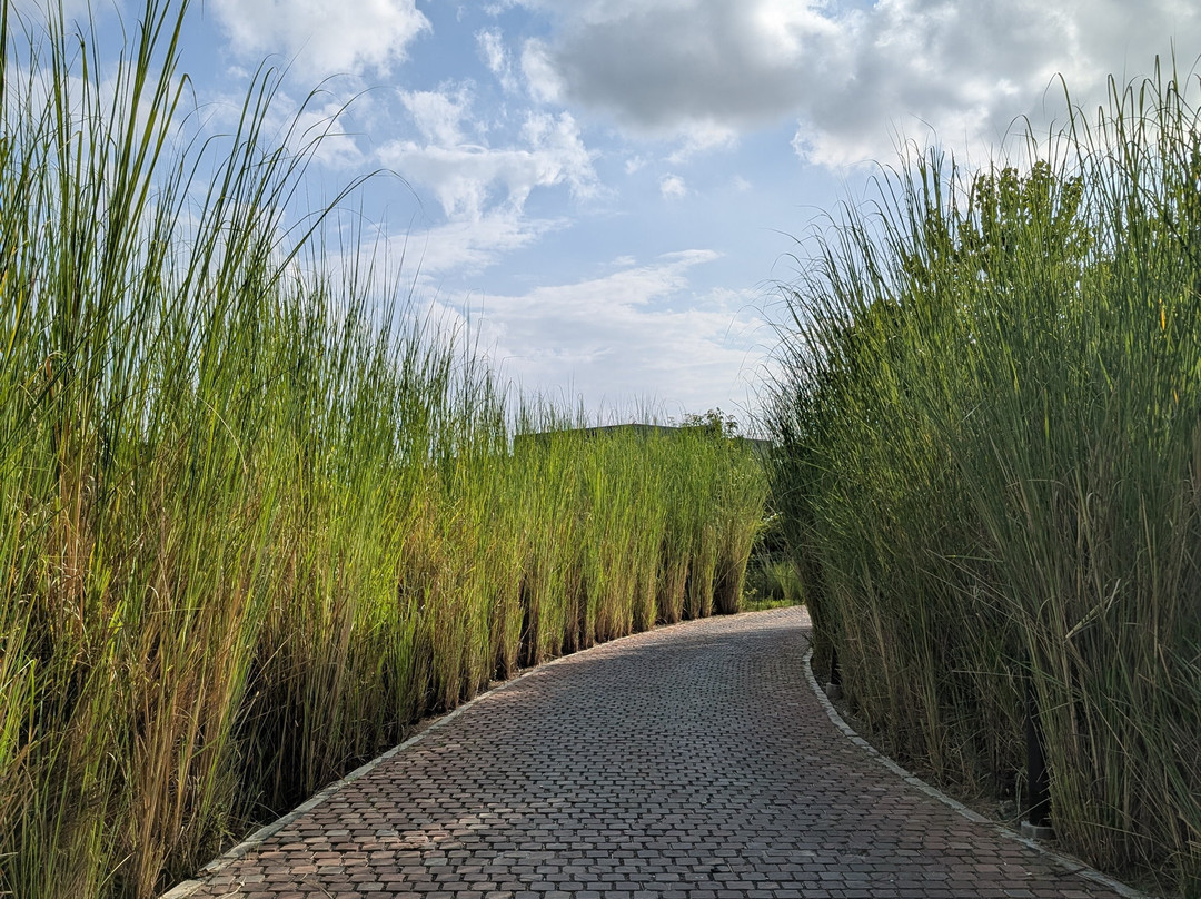 MYSA Zinc Journey by The Fern, Nani Devati, Gujarat主图