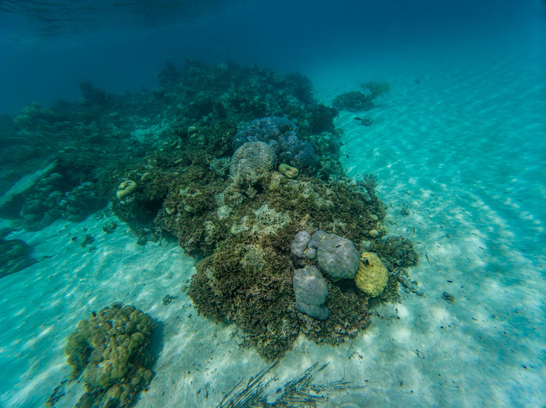 Ant Atoll-Kolonia必去景点