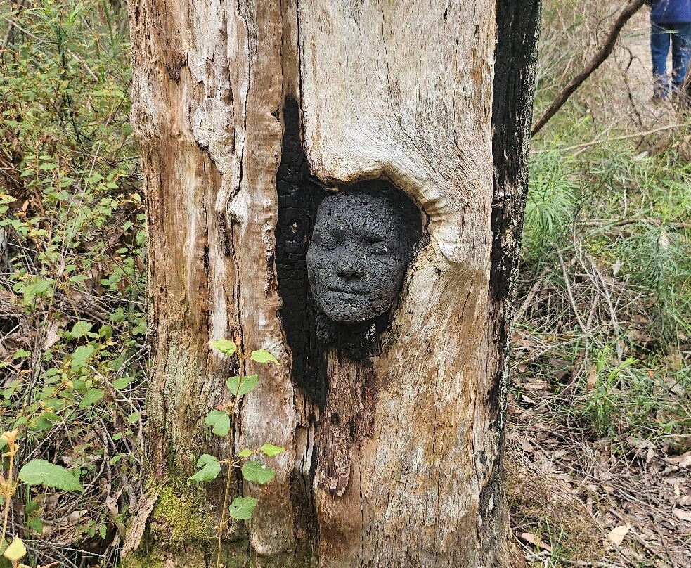 Understory Art & Nature-Northcliffe必去景点