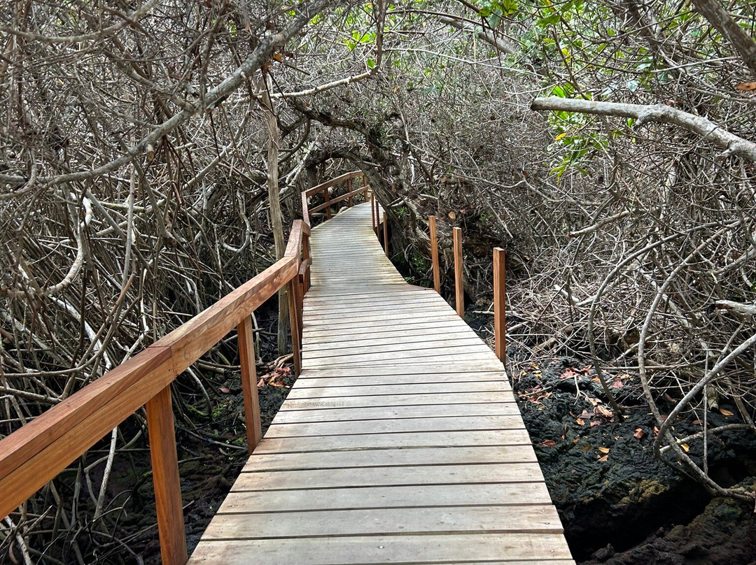 Concha de Perla-维里亚米尔港必去景点