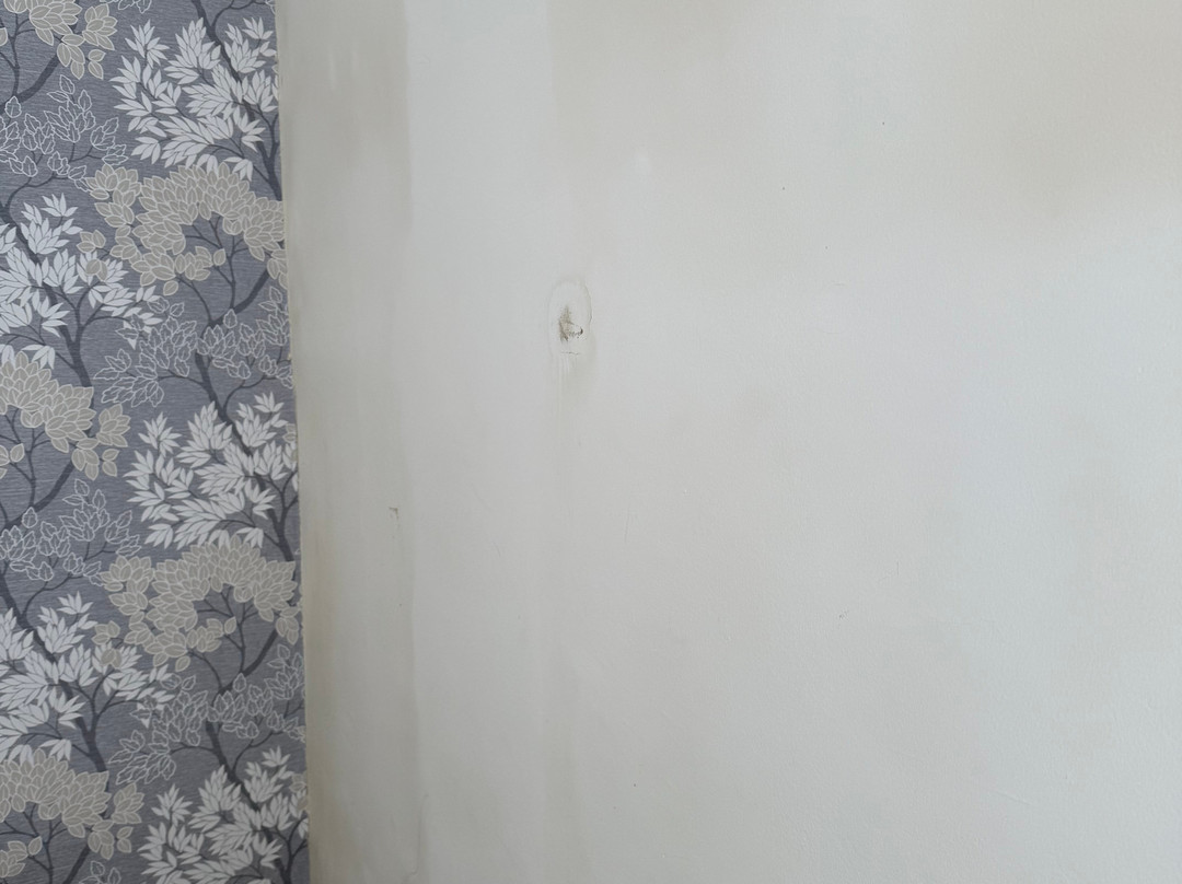 The Dorset Inn主图