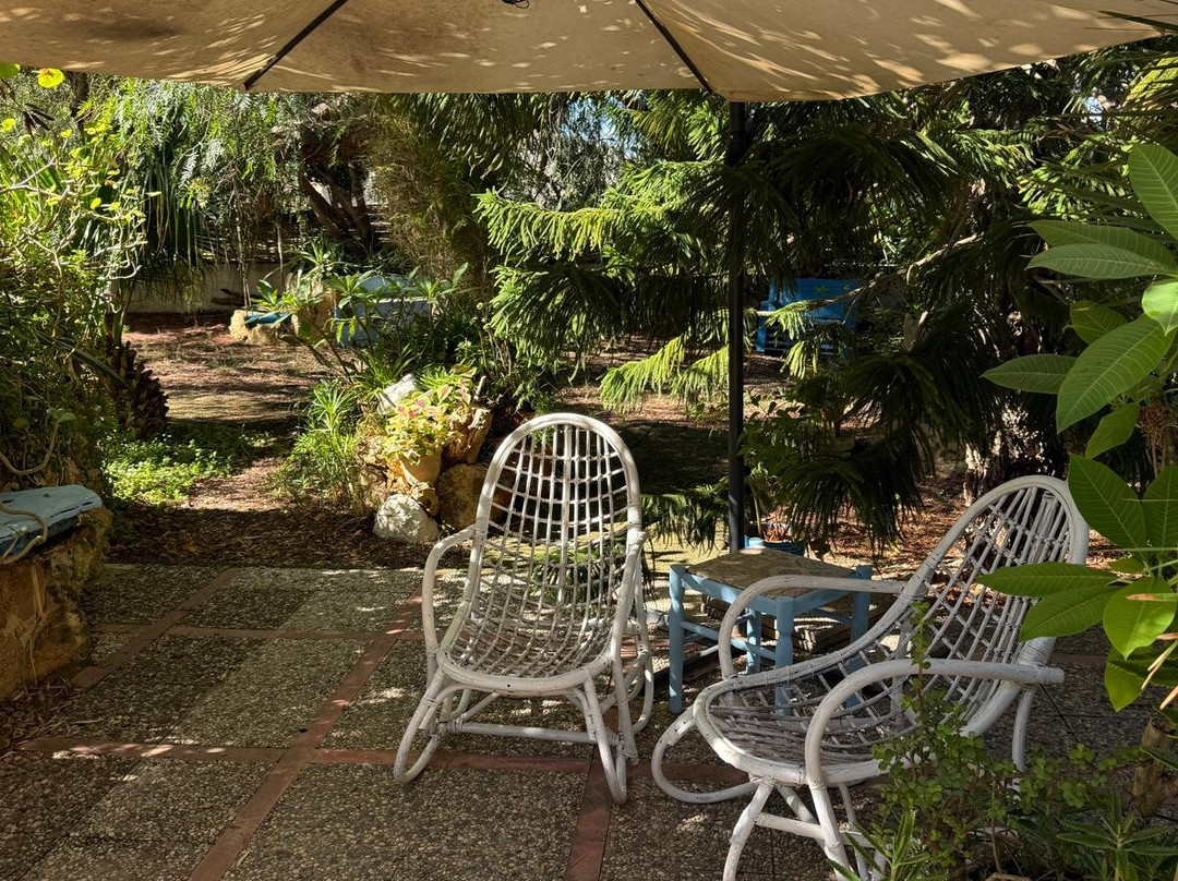 B&B Dai Siciliani Paolo e Paola主图