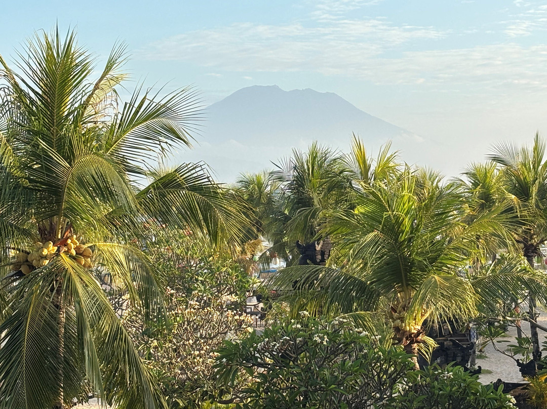 Best of Bali Tours-蓝梦岛必去景点