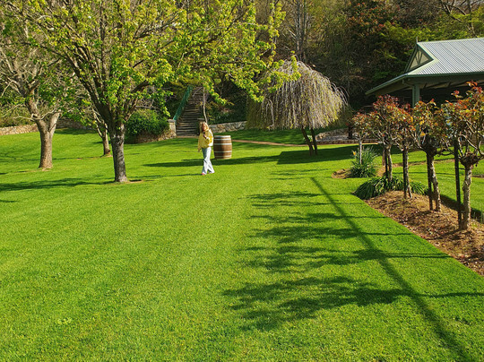 Chestnut Tree Holiday Apartments主图