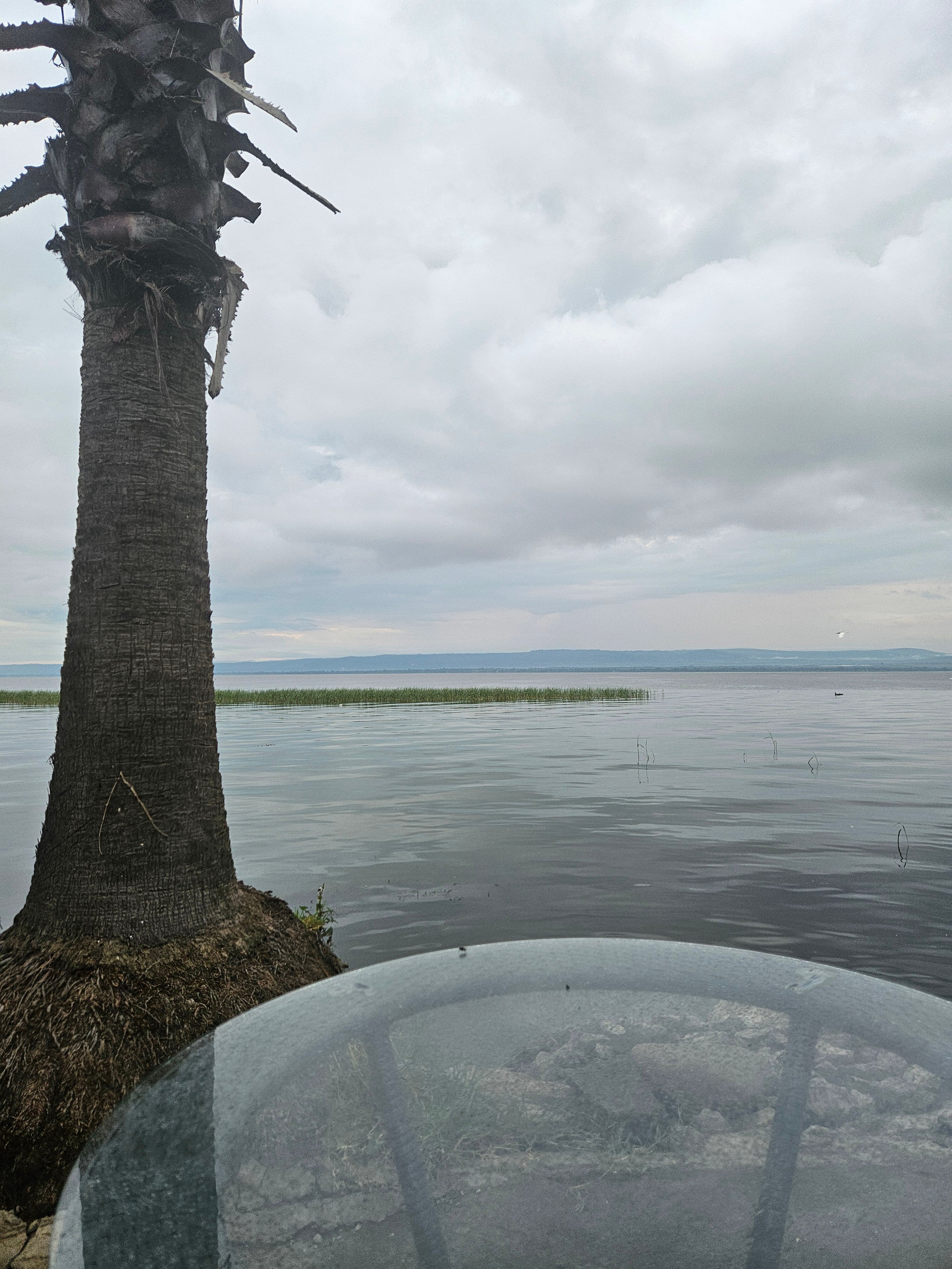 Haile Resort Hawassa-官方