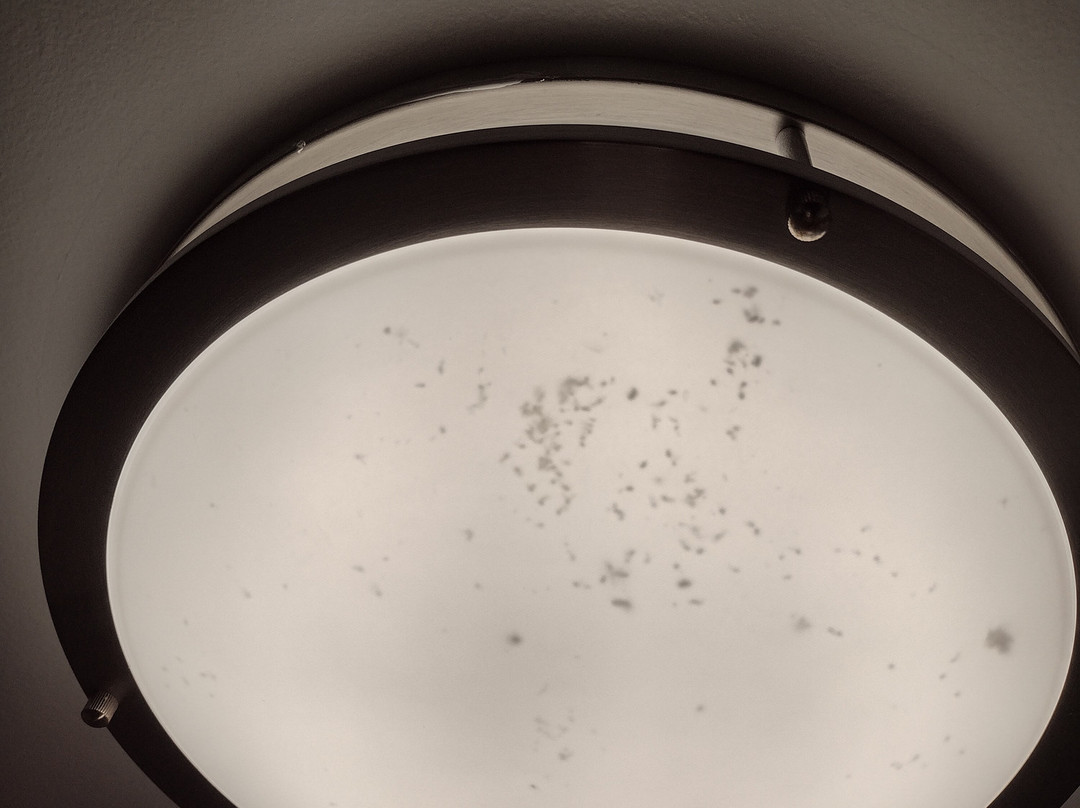 New Hope Inn & Suites主图