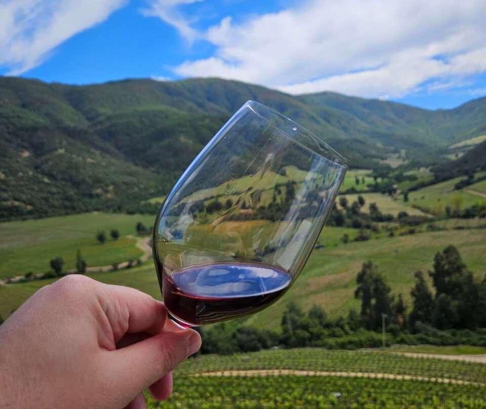 Colchagua Wine Tours-圣克鲁斯必去景点