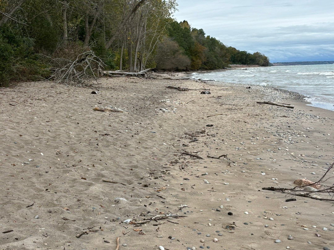 Schlitz Audubon Nature Center-Bayside必去景点