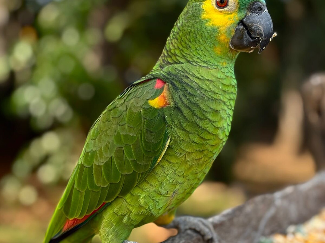 Fazenda San Francisco-米兰达必去景点