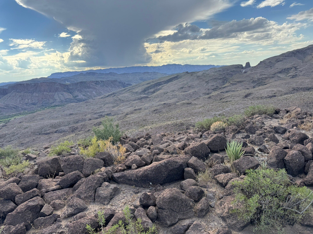 Big Bend & Lajitas Stables-Terlingua必去景点