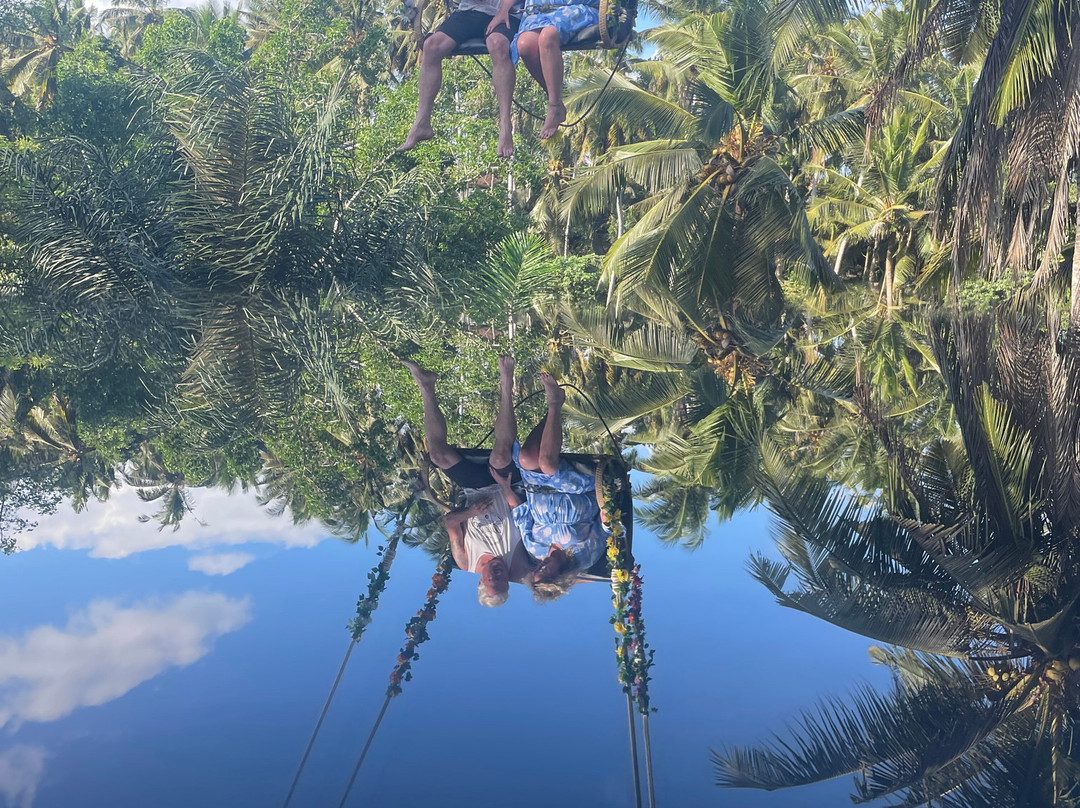 Bali Luxury Tour-吉安雅必去景点