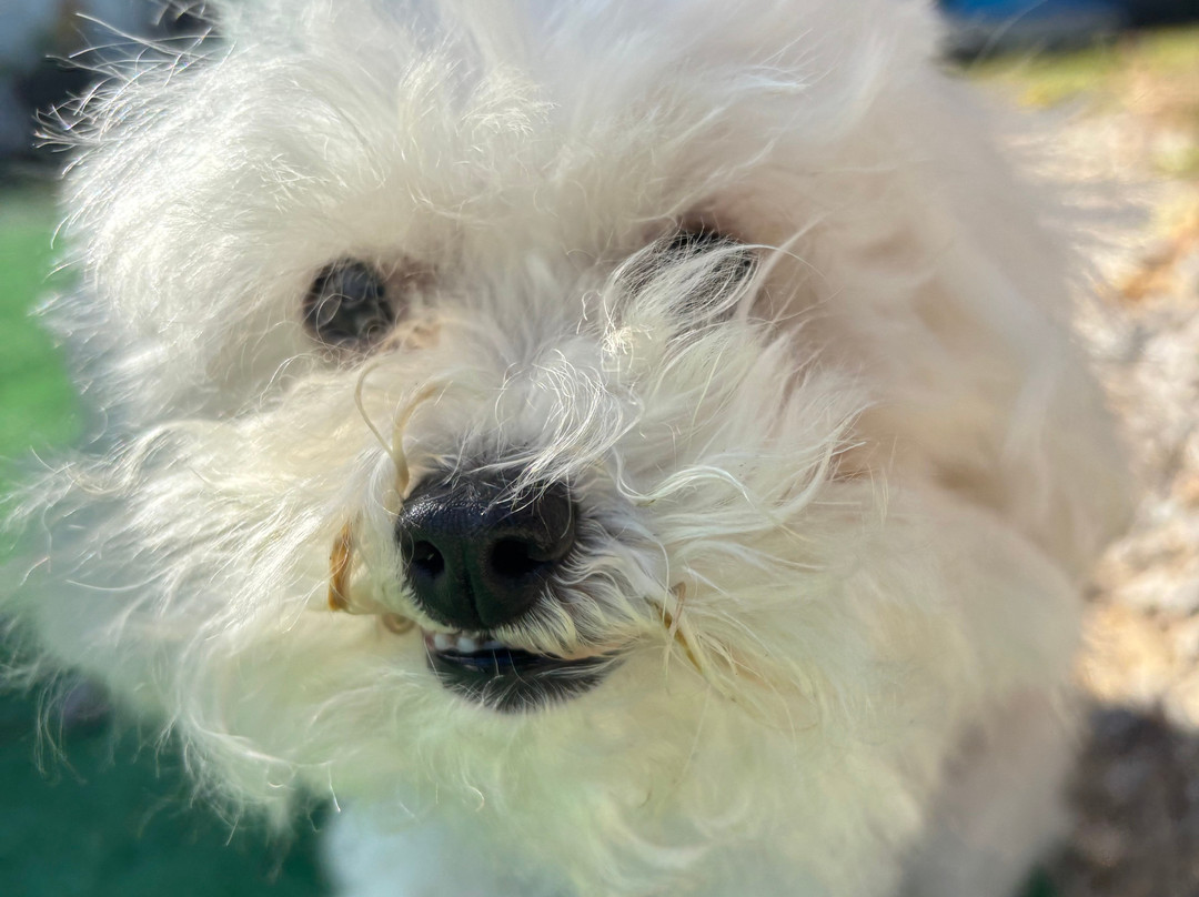 Nachand Canoe and Kayak Rentals-Prospect必去景点