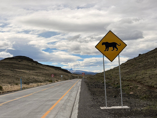 Patagonia Safari Experience-纳塔莱斯港必去景点