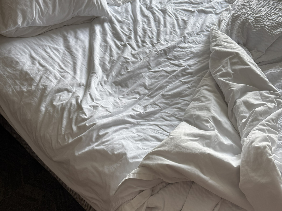 SpringHill Suites by Marriott Potomac Mills Woodbridge主图