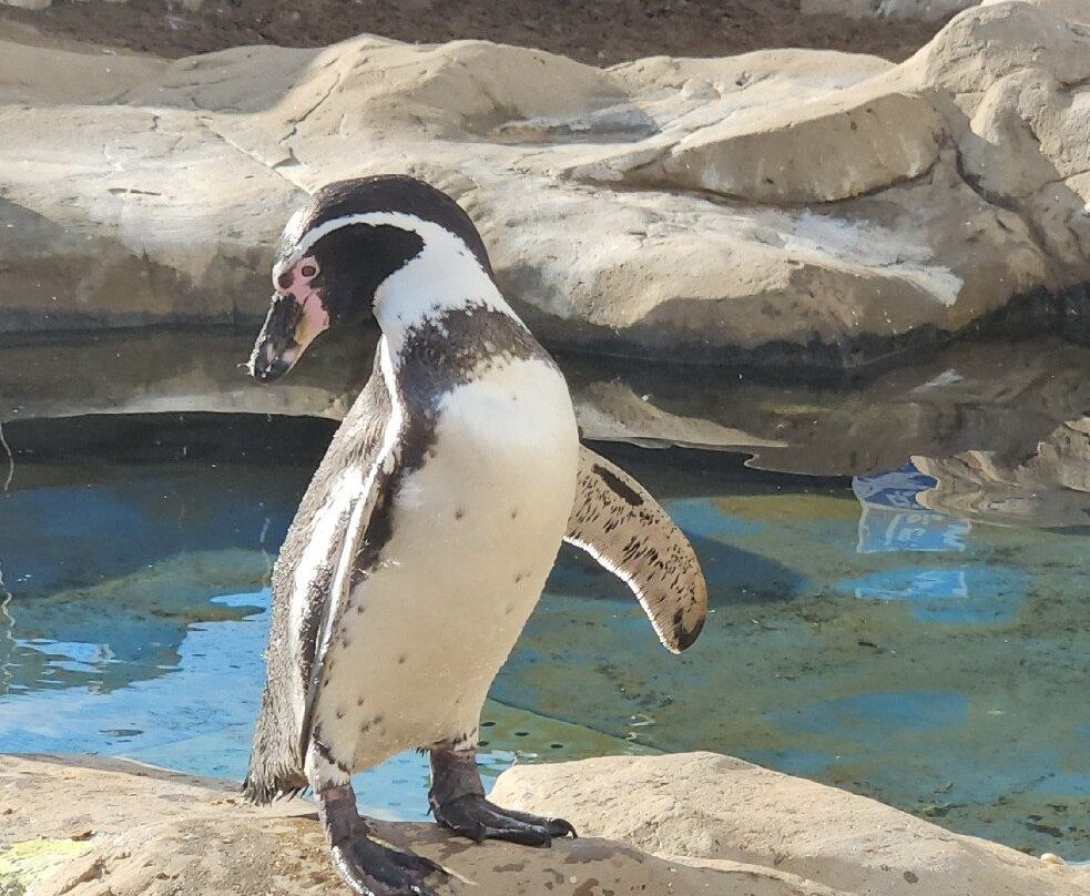Sea Life Scarborough-斯卡伯勒必去景点