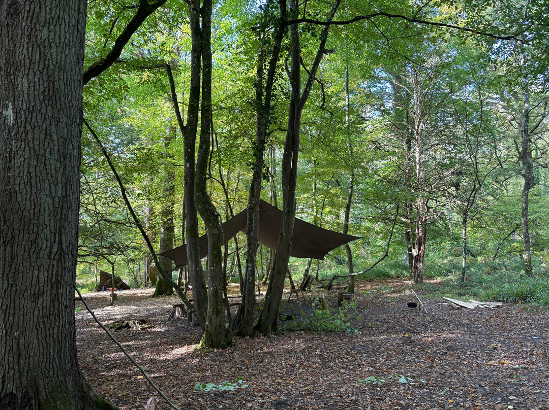 Wildway Bushcraft-Wimborne Minster必去景点