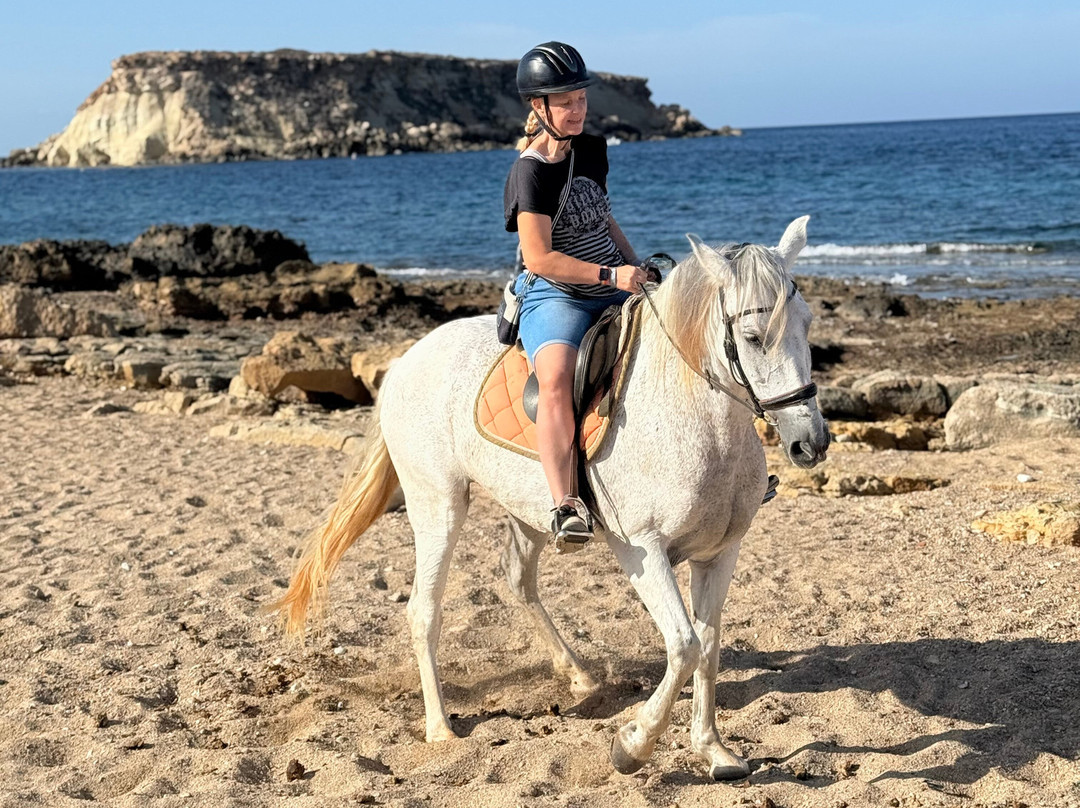 George's Ranch-Peyia必去景点