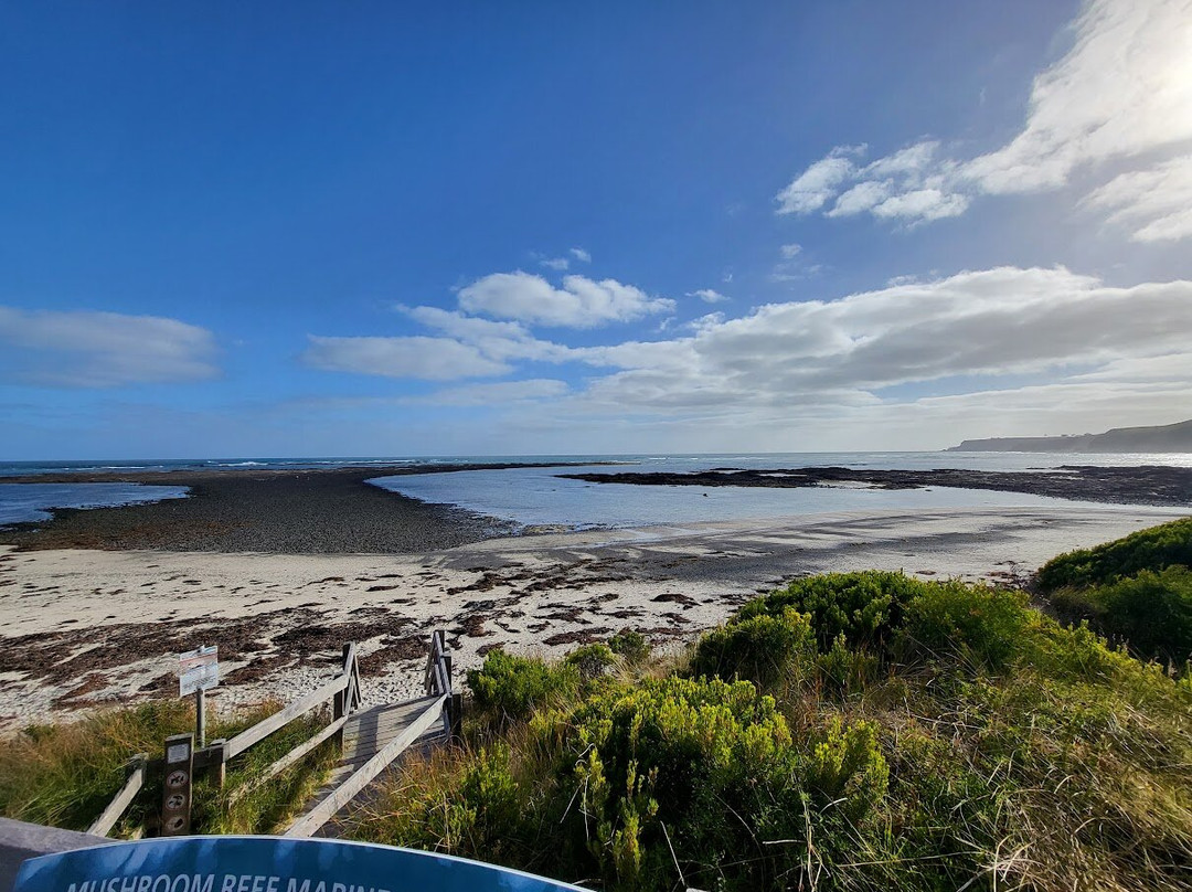 Mushroom Reef Marine Sanctuary