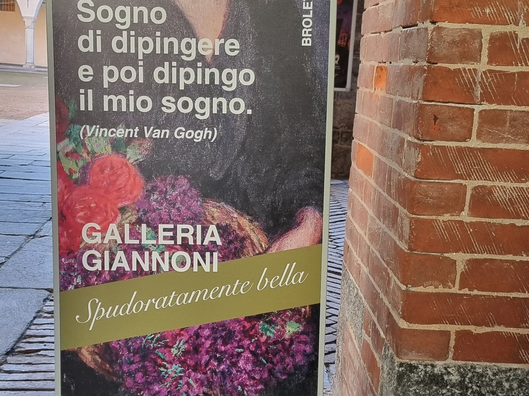 Galleria d'Arte Moderna Giannoni-诺瓦拉必去景点