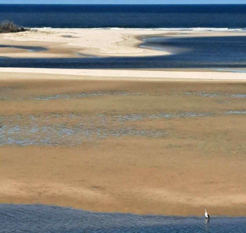 双子座度假村主图