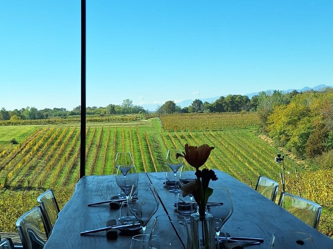 Azienda Vitivinicola e Agriturismo Enrico Crola-Mezzomerico必去景点