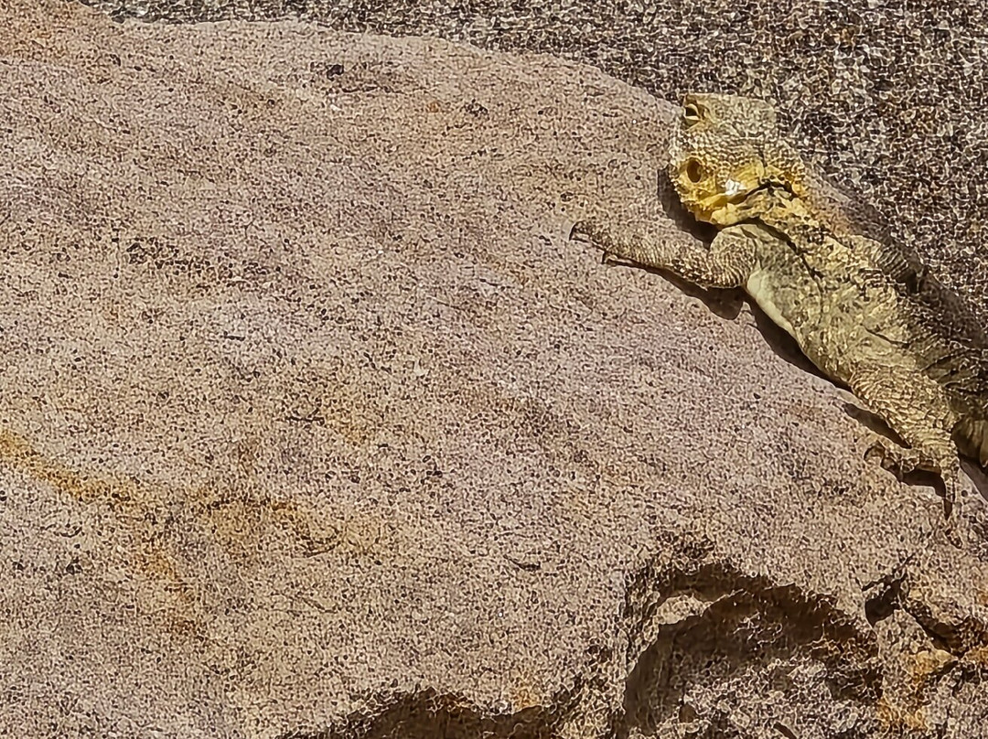 Kardamena Beach-卡达米那必去景点
