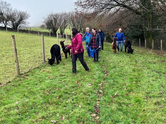 Fedwen Farm-Cwmafan必去景点