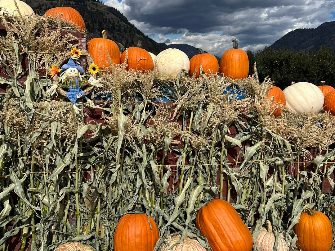 Peach King Fruit Stand-Keremeos必去景点