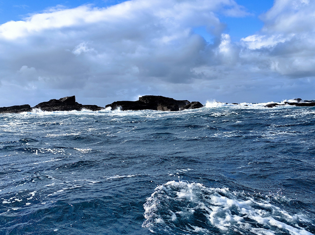 Aber Wrac'h Odyssée-Landeda必去景点