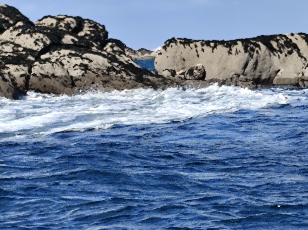 Aber Wrac'h Odyssée-Landeda必去景点