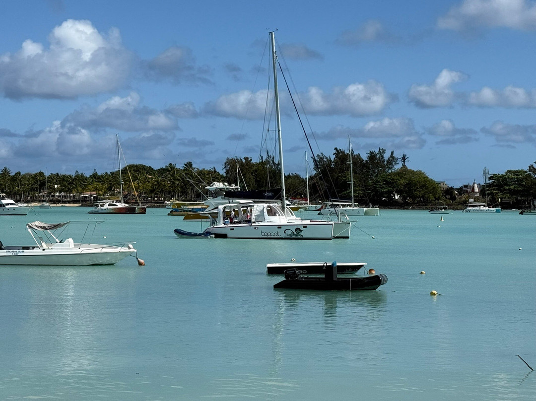 TOPCAT Cruises-大湾必去景点