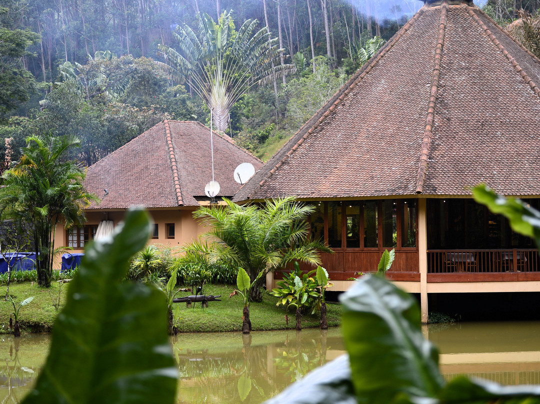 Vakona Forest Lodge主图