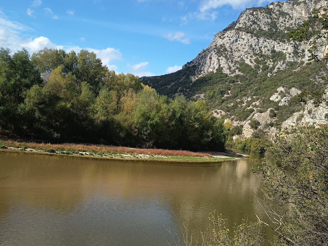 Riverland-Toxotes必去景点