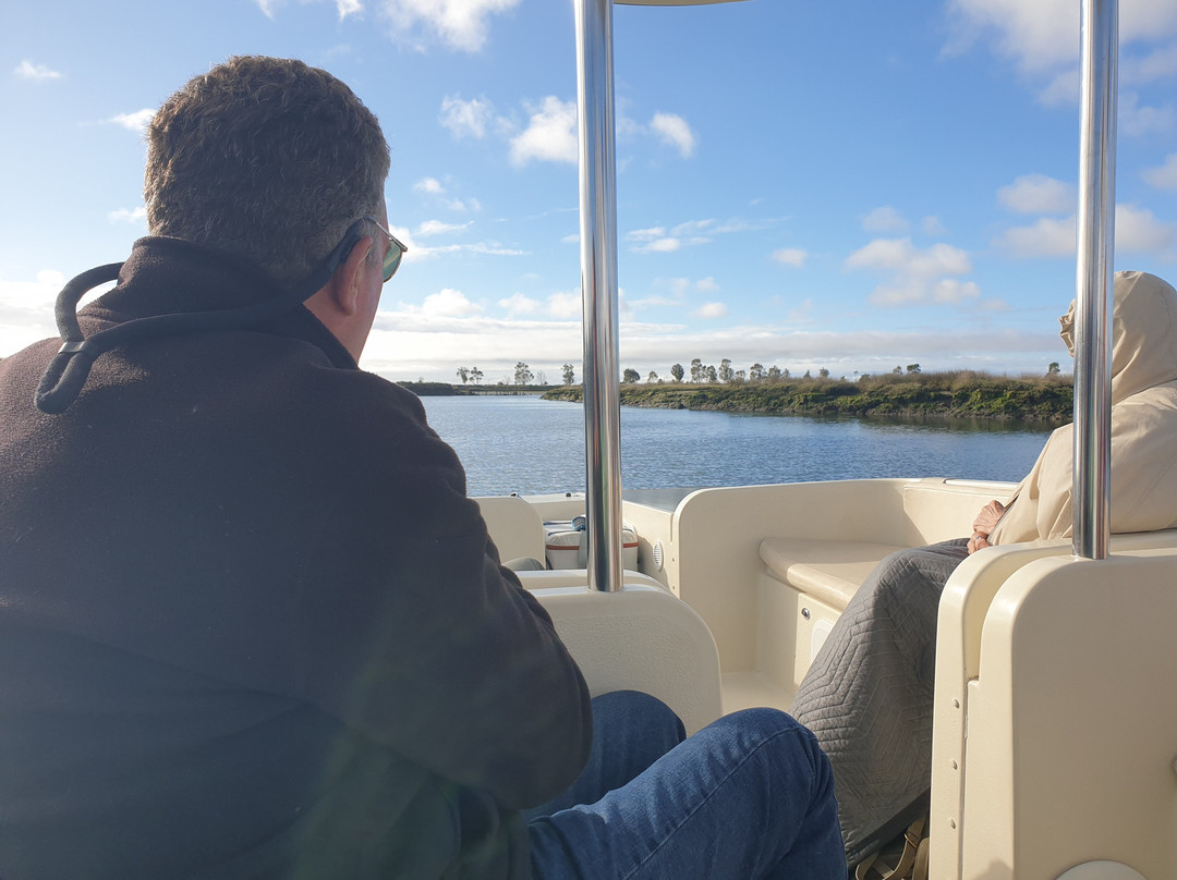 Sterna - Aveiro Ria Tours & Birdwatching-阿威罗必去景点