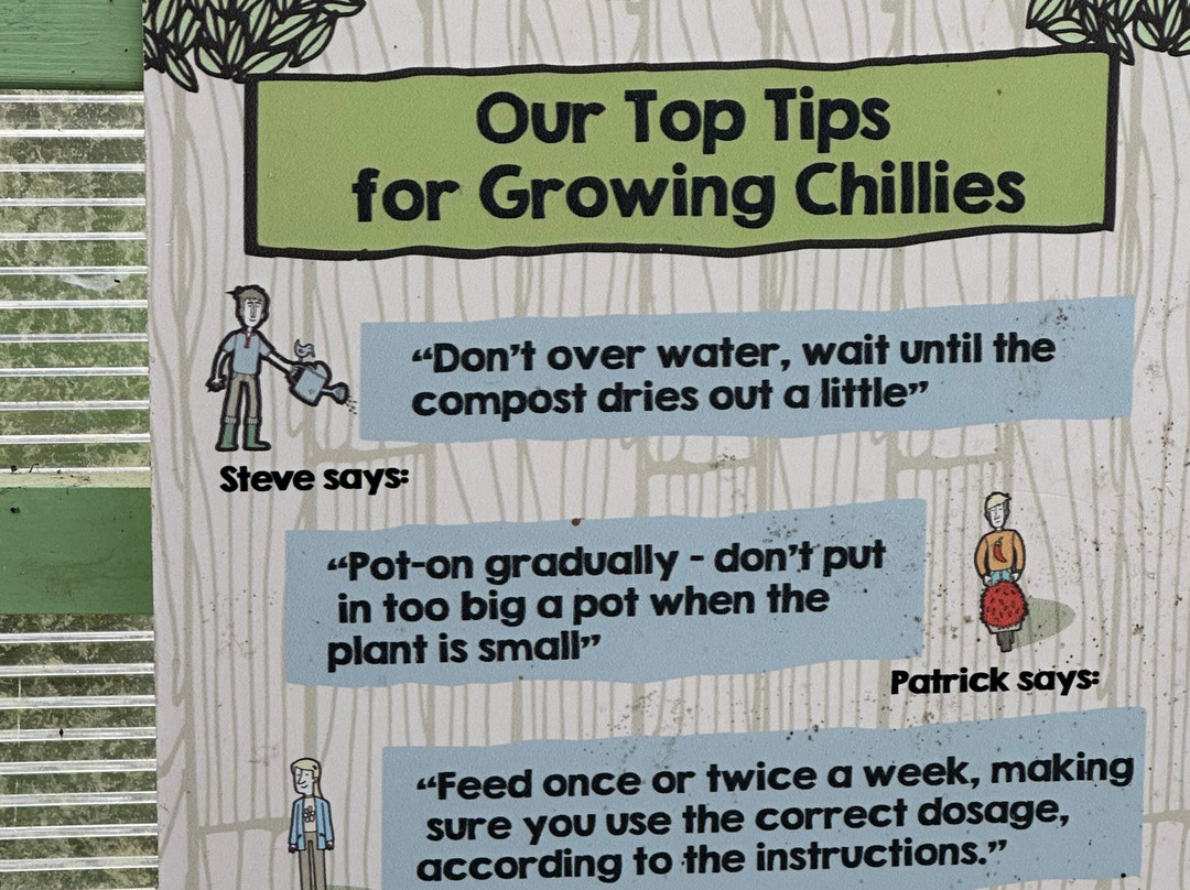 South Devon Chilli Farm-Loddiswell必去景点