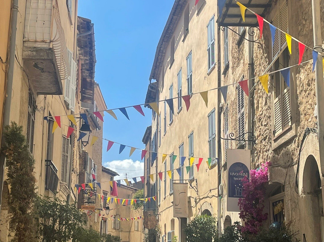 The Frogs' House主图