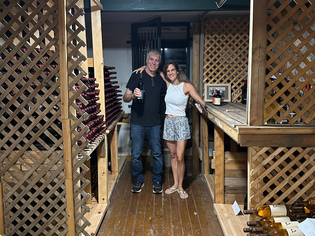 Berenice Winery-提比利亚必去景点