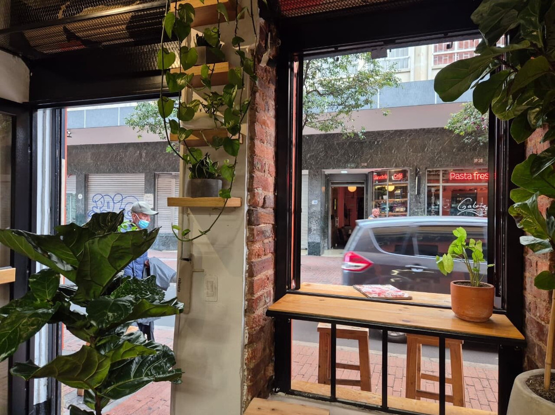 robusta bakery coffe