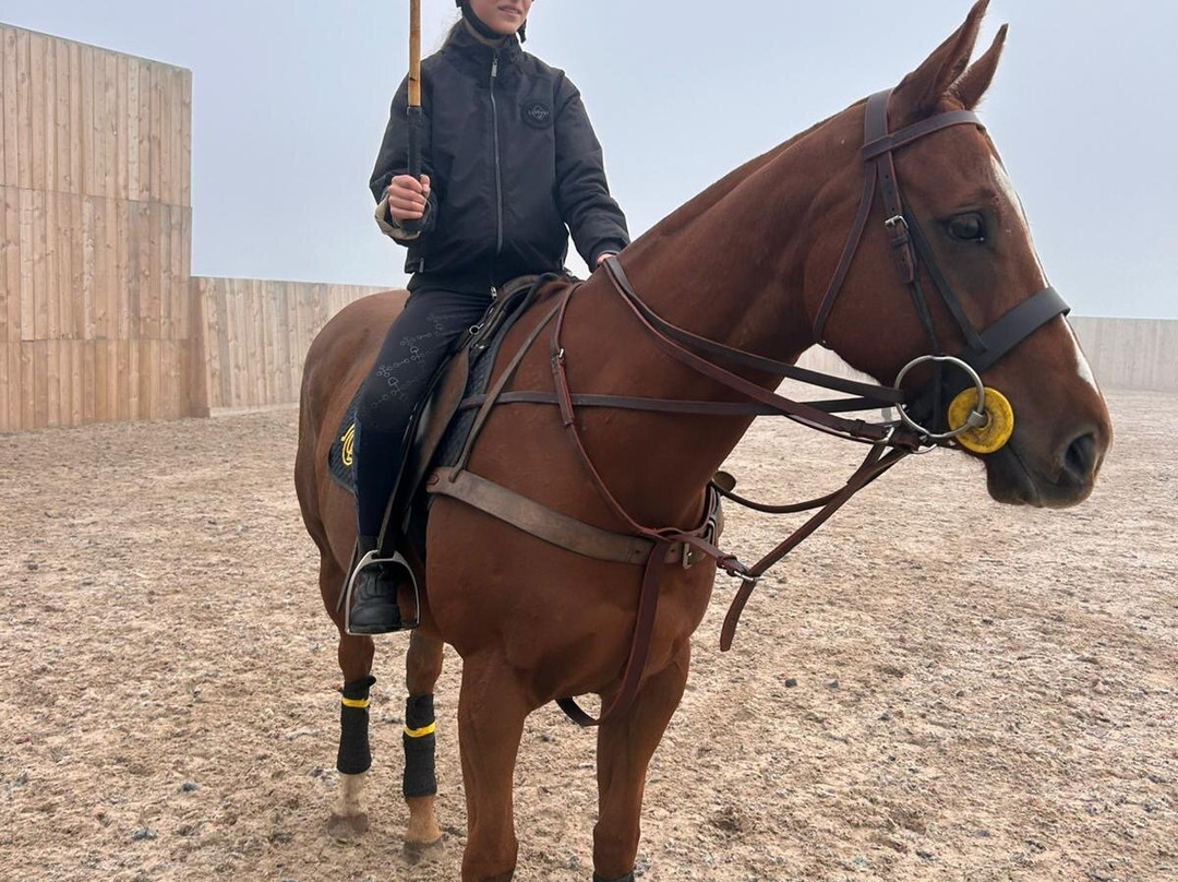 Dart Polo Academy-Gainsborough必去景点