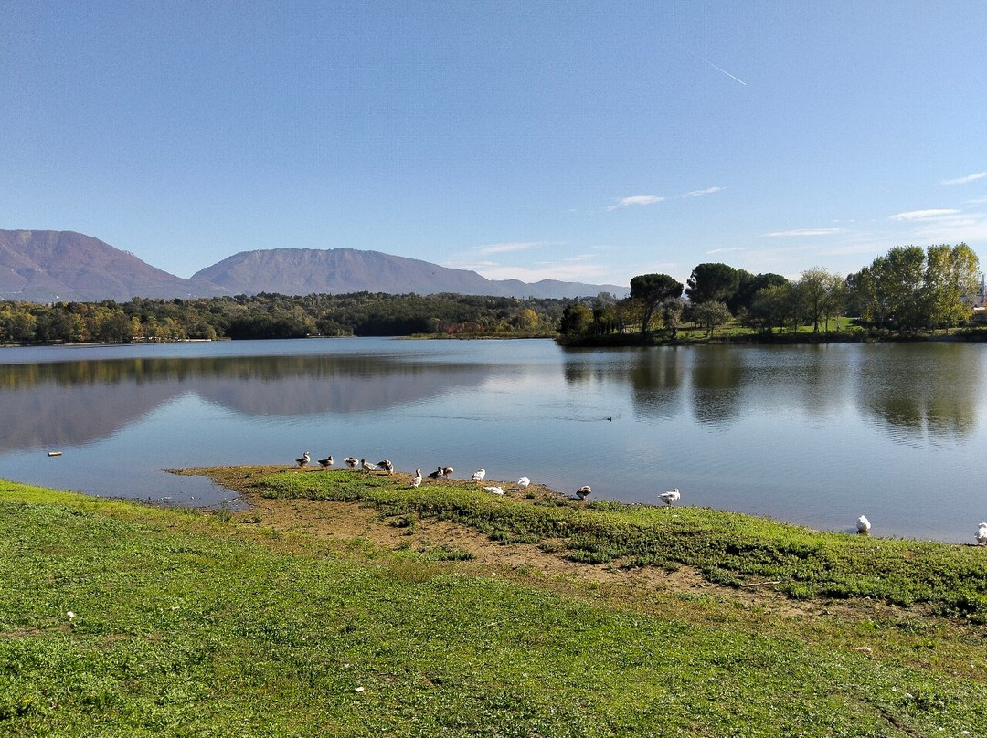 Grand Park (Parku i Madh)-地拉那必去景点